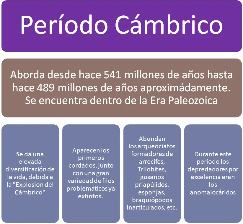 Períodos Geológicos. La vida en la Tierra