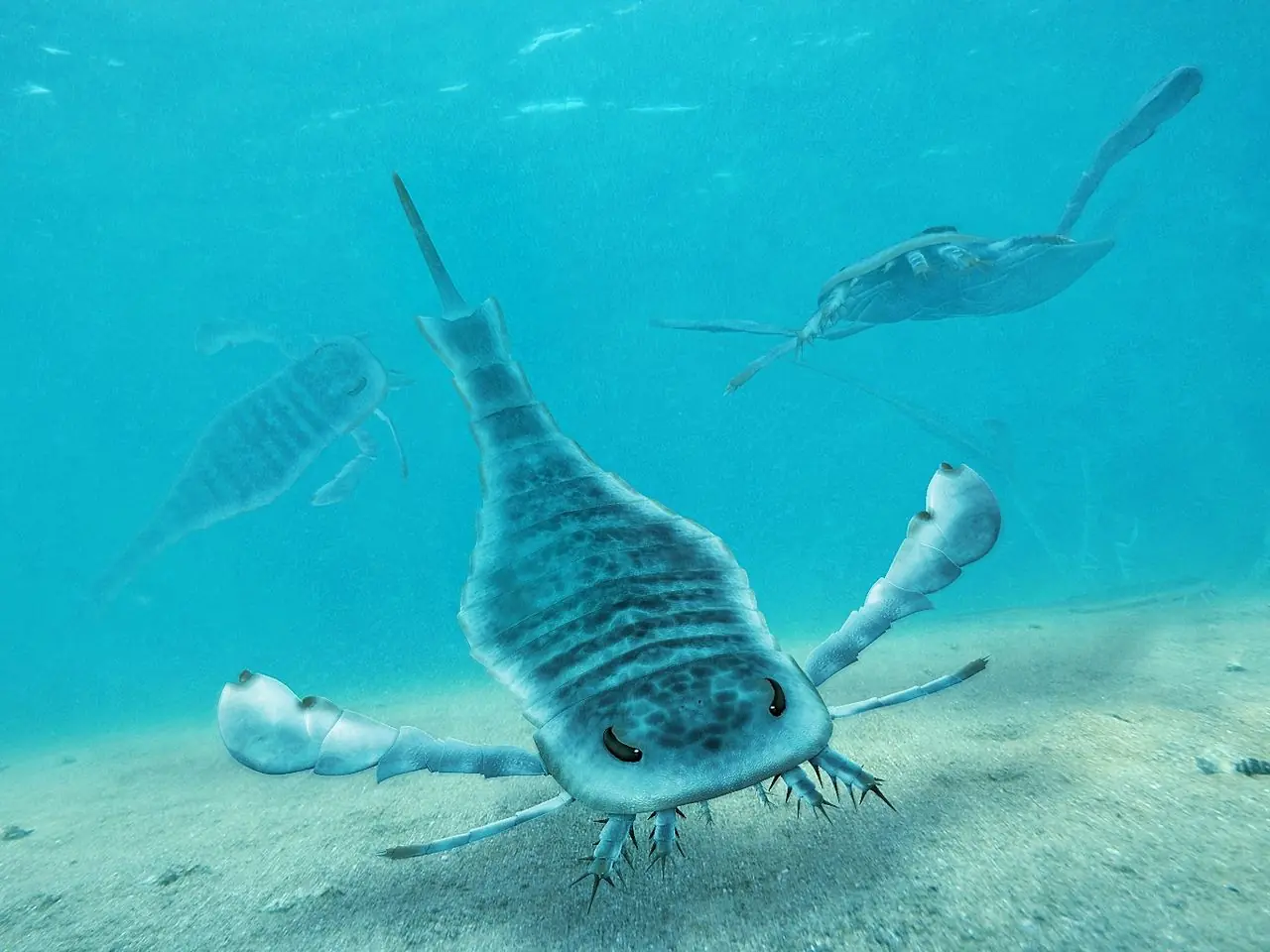 carbonifero