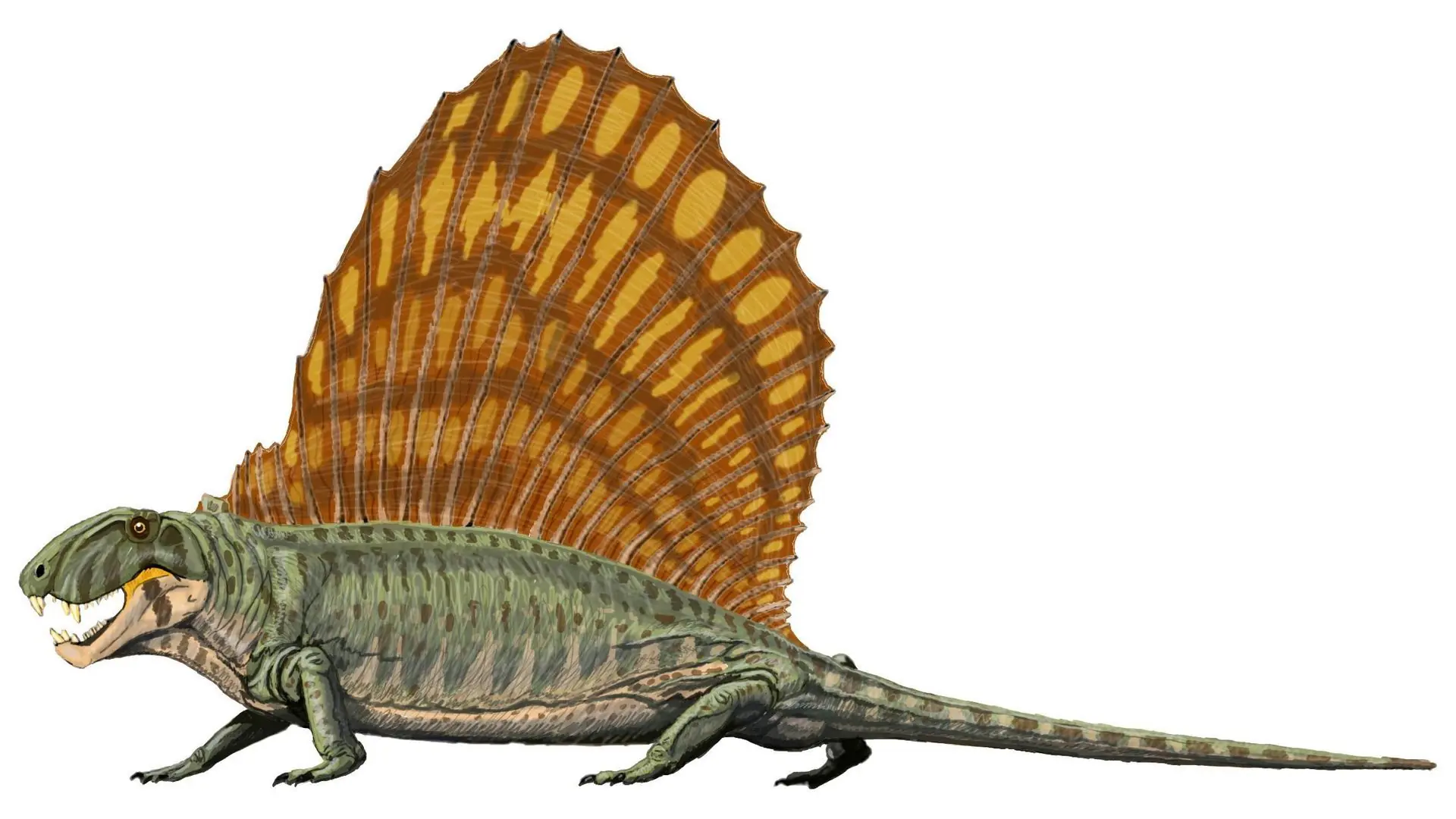 periodos geologicos