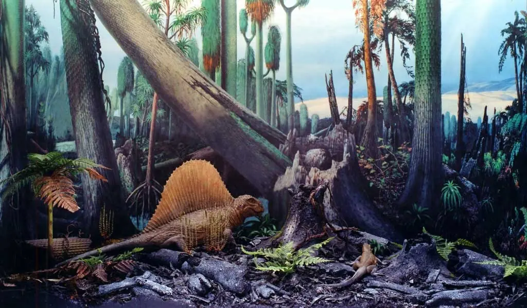 Períodos Geológicos. La vida en la Tierra