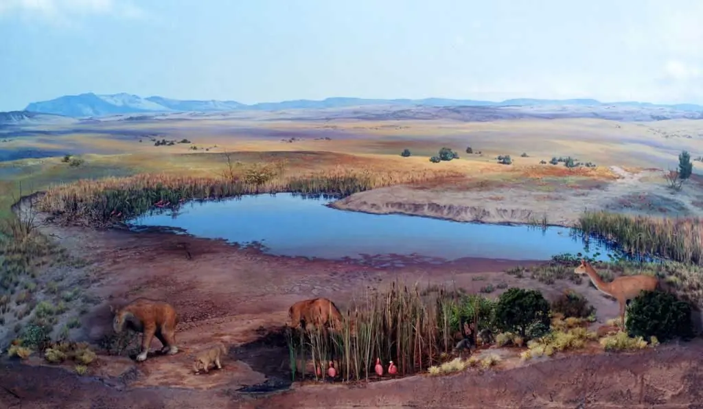 Períodos Geológicos. La vida en la Tierra