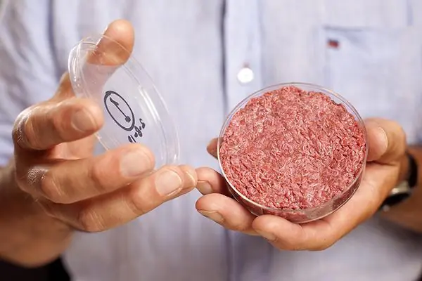 ¿Sabias que? + 6 si no sabias estas curiosidades.