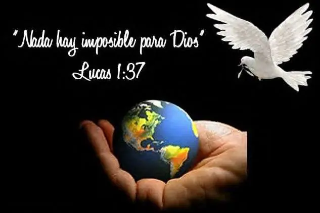 reflexiones