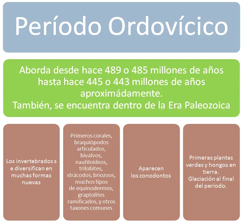 carbonifero