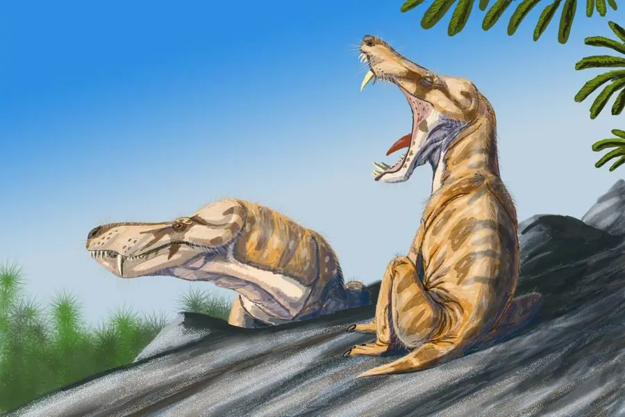 Períodos Geológicos. La vida en la Tierra