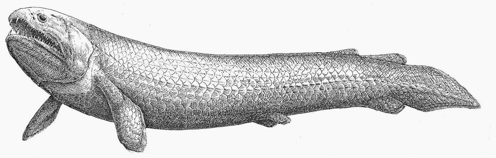 jurasico