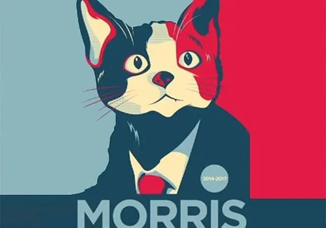 Insólito: en México llaman a votar por un gato