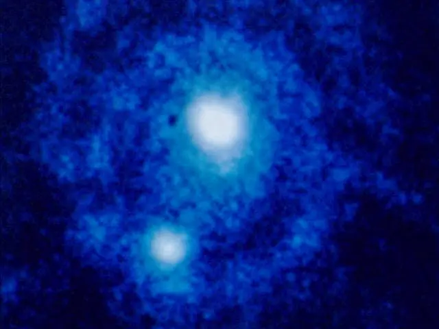 galaxias