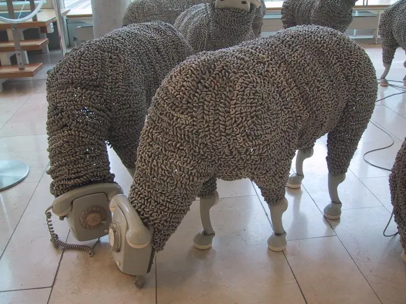 sambuche de mondiola