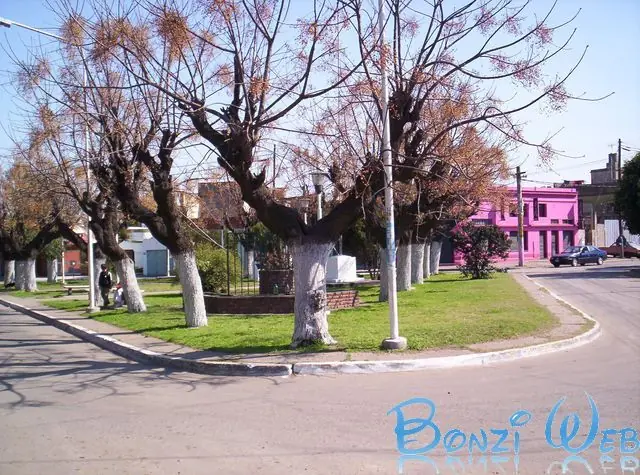 conecer