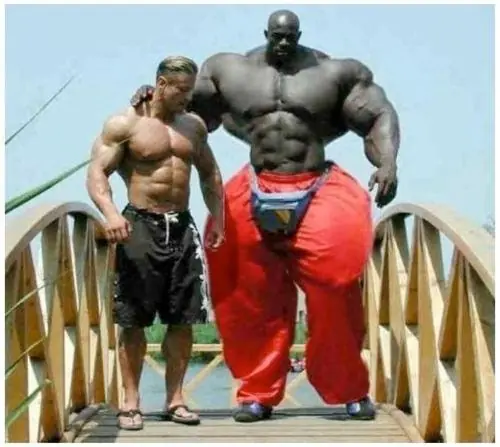 Sabes quien es hulk africano? te lo presento