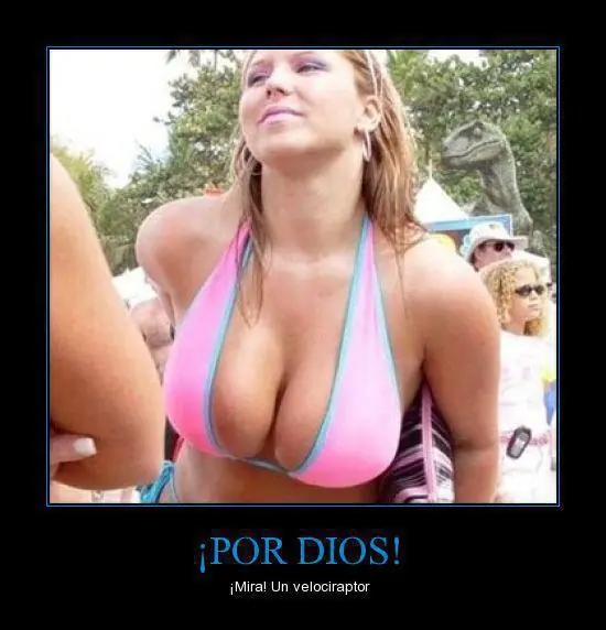 Wtf 2 xD