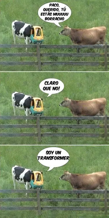 graciosas