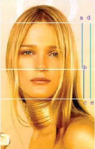 fi