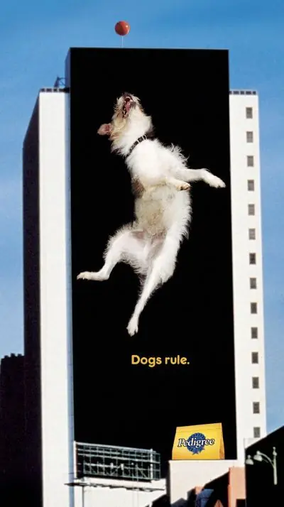 fotos graciosas y otras no