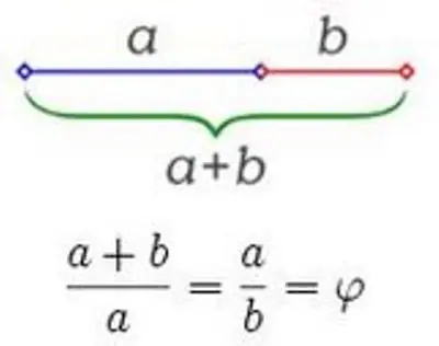 Explicación muy simple del número de oro