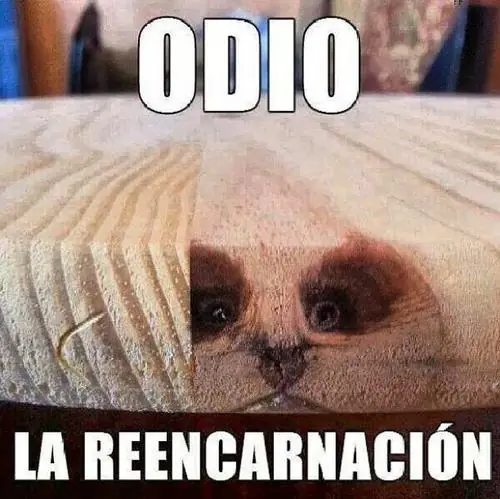 imagenes