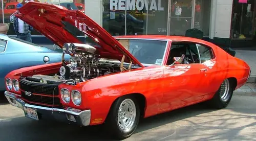 muscle