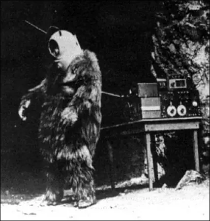 51