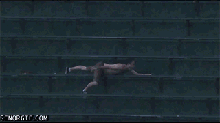 Personas que tienen un dia peor que el tuyo(gifs)actualizado