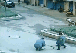 Gifs