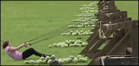 Gifs