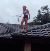 Gifs