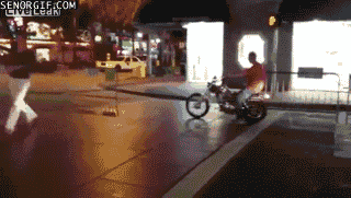 Gifs