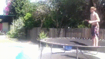 Gifs
