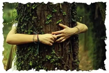 El abrazo a los arboles…