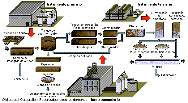 contaminación
