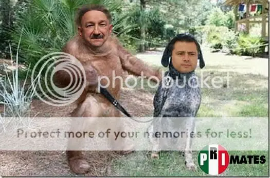 movimiento