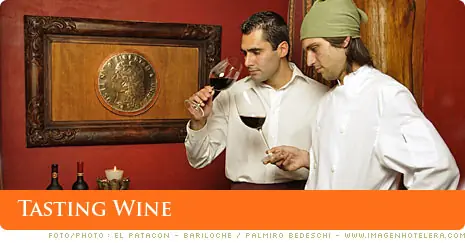 Cata de vinos - Para aprender y disfrutar del vino