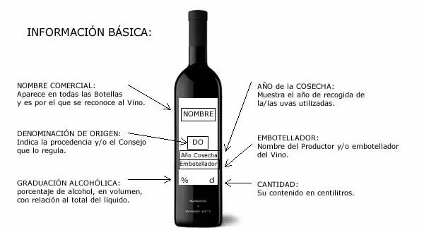 enologia