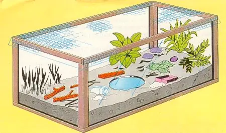 Mi primer acuario, paso a paso - 1º parte