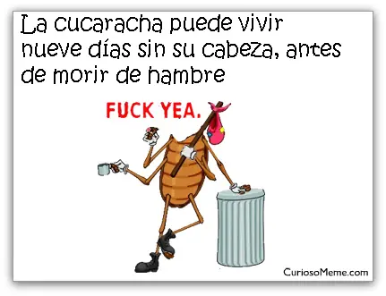 universidad