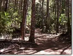 El Bolsón- Argentina- Lugar Mágico, Natural y Hippie...
