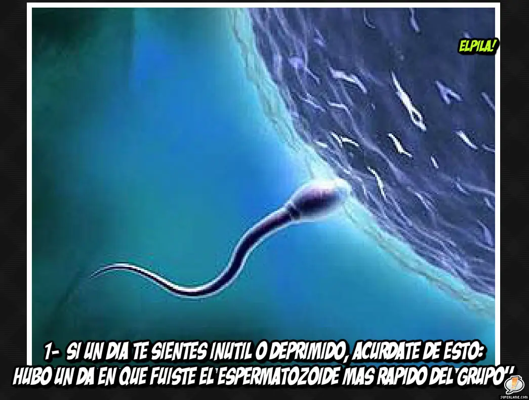 elpila
