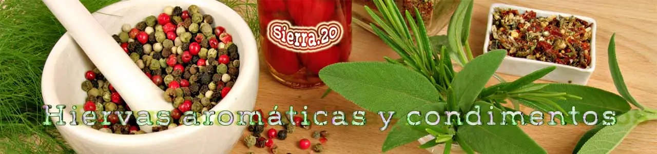 Hierbas aromáticas y condimentos