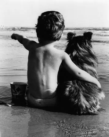 Los Niños entienden a los Perros