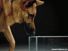 como funcionan las cosas