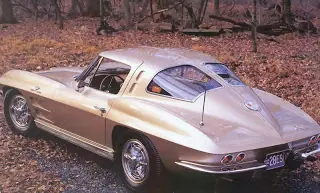 stingray