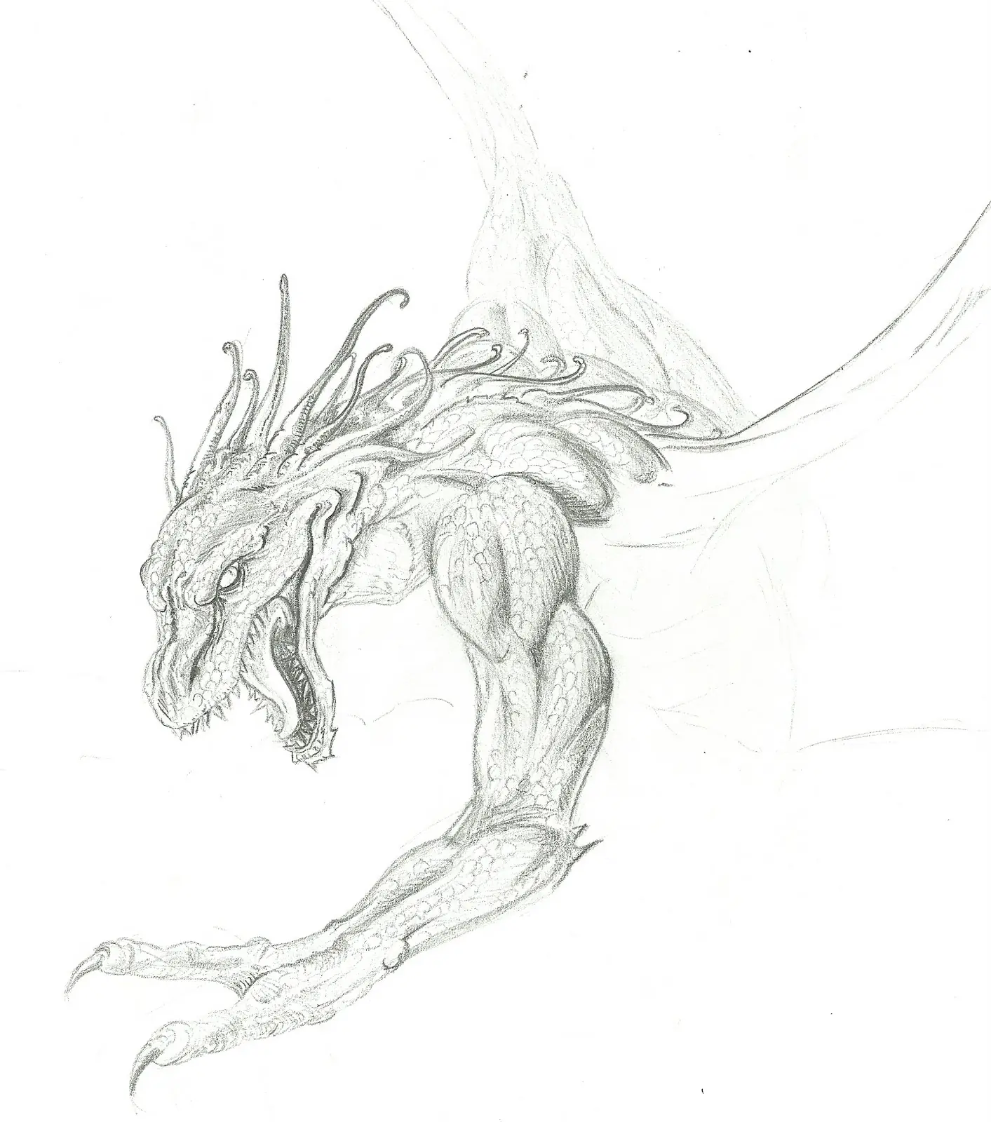 ilustracion