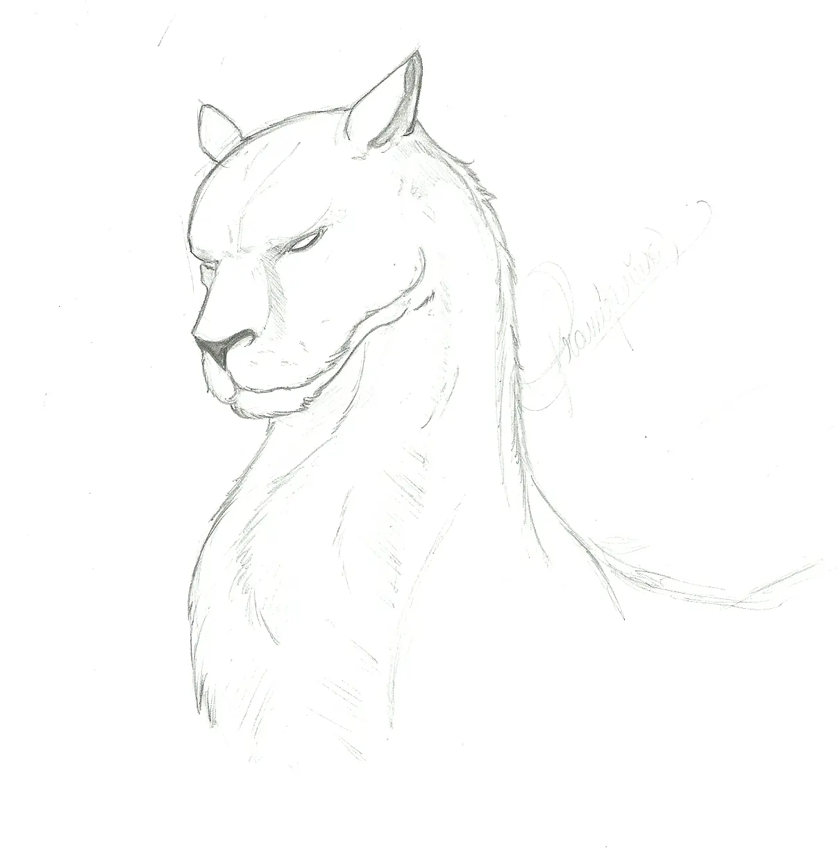 Dibujos originales