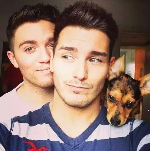 gay