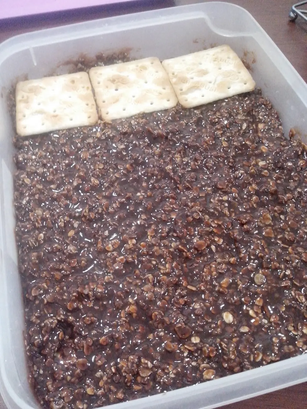 Hice Turrón de Quaker y te lo cuento