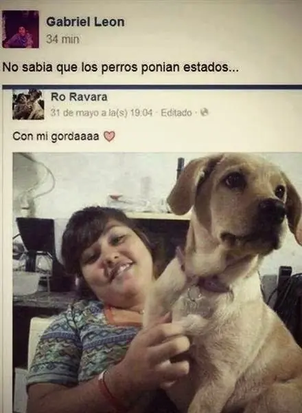 youtuber se burla de mexivergas