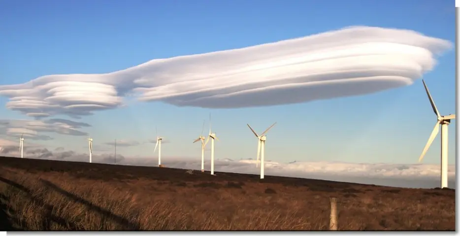 y aprenderas algo nuevo