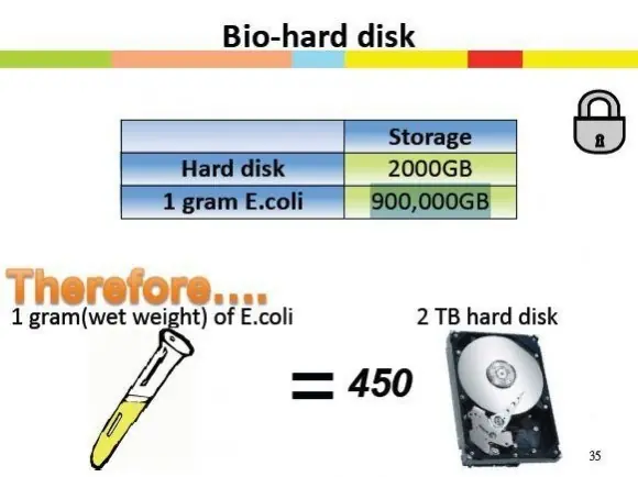 Nuestro próximo disco duro podría ser una bacteria