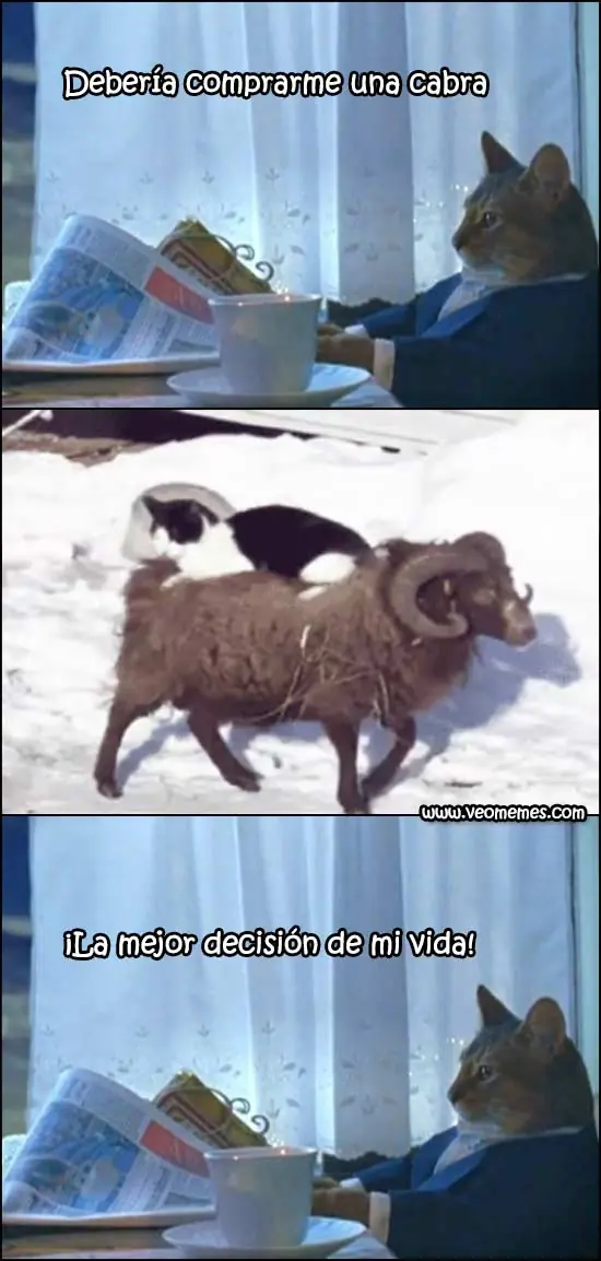 Un poco de humor - Memes